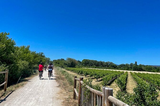 Wine excursion by electric bike guided by GPS Vallon Pont d'Arc - Key Points