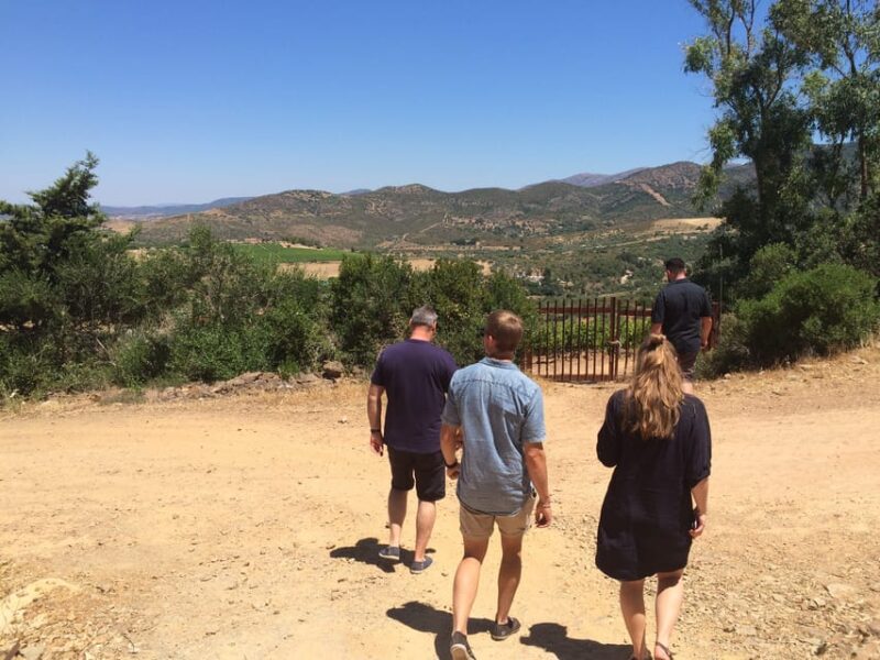 Wine Experience around Cagliari - Key Points