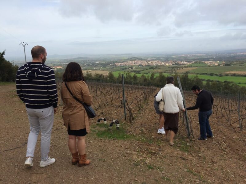 Wine Experience around Cagliari - Final Thoughts on the Sardinia Wine Experience