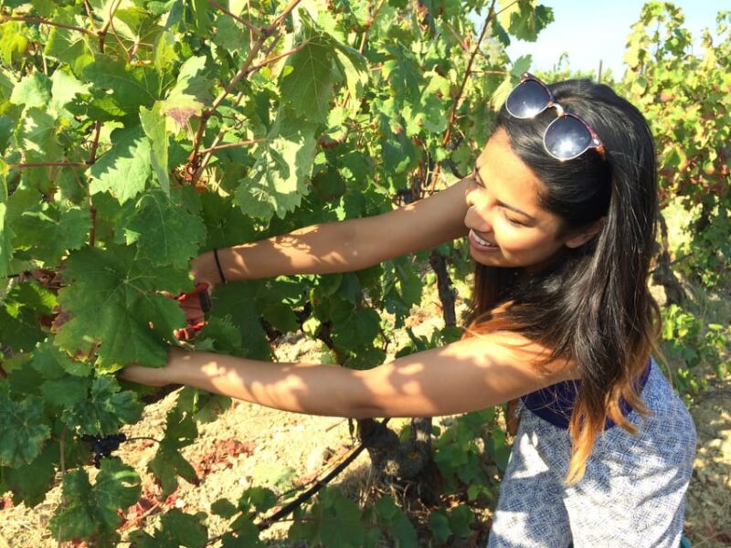 Wine Experience around Cagliari - Frequently Asked Questions