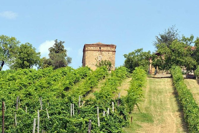 Wine experience Bologna hills - Explore Bologna’s Hills Through a Private Wine Experience