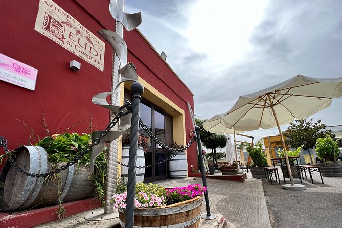 Wine Experience - Personal and Intimate Tour Format