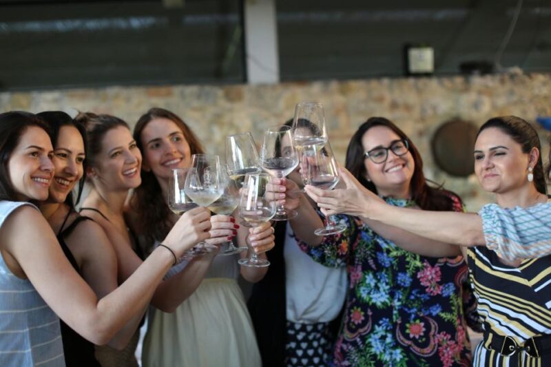 Wine Experience in an Organic Chianti Winery - Logistics and Practical Details for Visitors