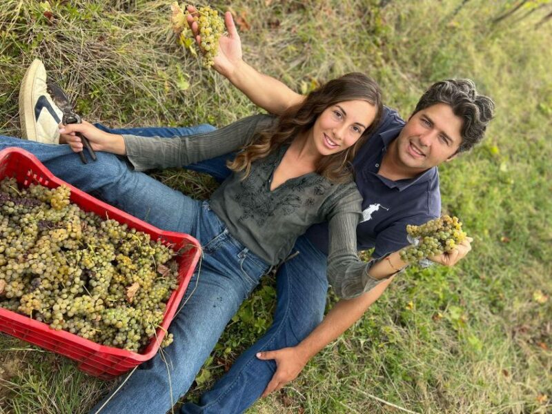 Wine Experience in an Organic Chianti Winery - Reviews Highlighting the Experiences Quality