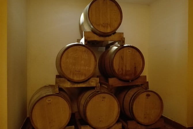 Wine Experience In Chianti Hills from Florence - The Guide’s Role and Multilingual Support