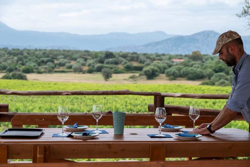 Wine experience in Dorgali in the heart of the Cannonau Classic Zone - Stories and Landmarks Shared by the Guides