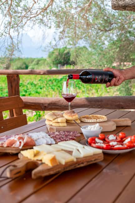 Wine experience in Dorgali in the heart of the Cannonau Classic Zone - Practical Details and Booking Information