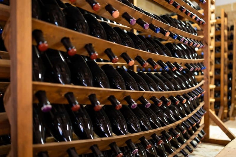 Wine Experience tra i carrubi secolari di Mazara del Vallo - Discover the Unique Wine Tasting in Mazara del Vallo’s Ancient Carob Trees