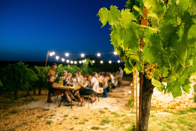 Wine Experience: vineyard, wines and food - Tasting the Four Signature Wines of the Region