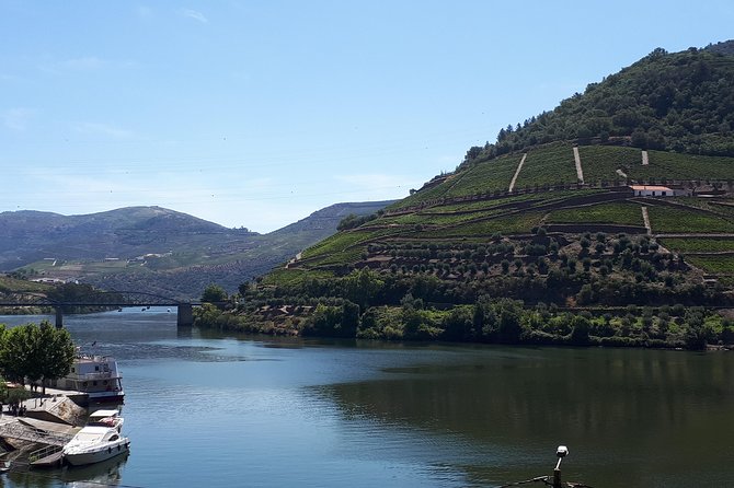 Wine experience with a sommelier - Second Premium Tasting at a Douro Boutique Farm