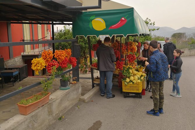 Wine & Food Tour at the Vesuvius Winery - Limitations and Considerations