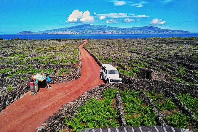 Wine & Food Tour - Visiting the UNESCO-Listed Vineyards of Lajido da Criacao Velha