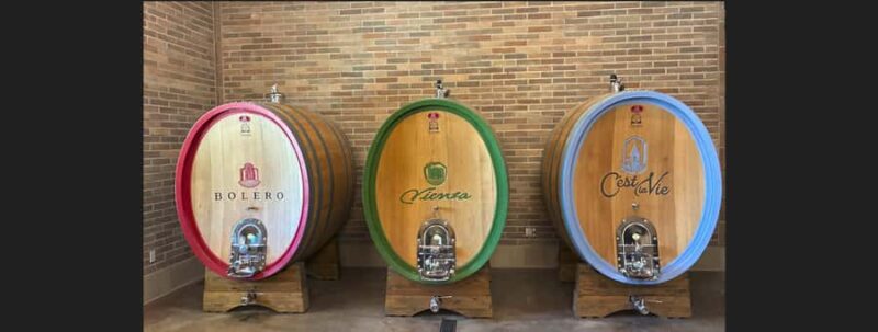 Wine, Food & Wine Blending Tour at the CA Winery of the Year - Exploring the Vineyard and Production Areas