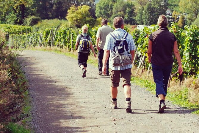 Wine Hiking Sip & Trek - Discover the Wine Hiking Sip & Trek Tour in Florence, Italy