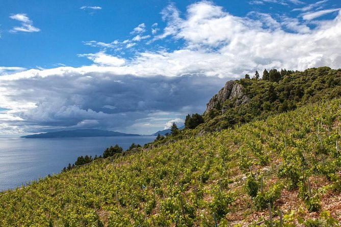 Wine Lover's Tour From Dubrovnik - Experience Croatian Wines on a Private Peljeac Peninsula Tour from Dubrovnik