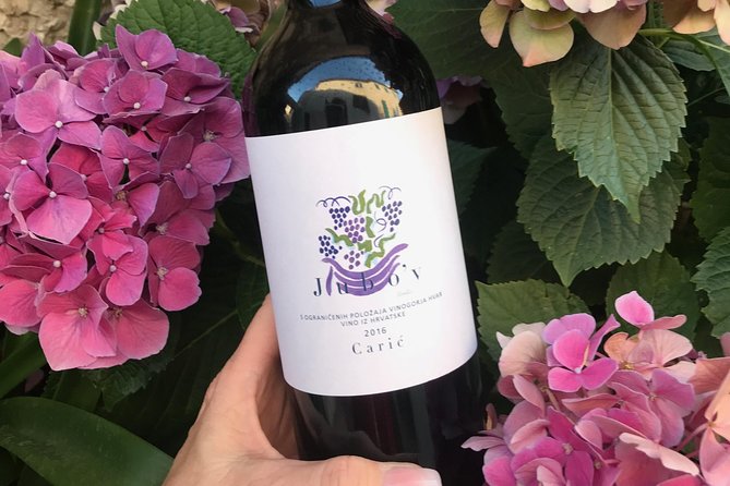 Wine Lovers tour from Hvar - Who Should Book This Tour