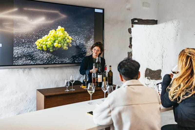 Wine Lovers: Wine Tasting Tour at El Grifo Bodega Lanzarote - Key Points