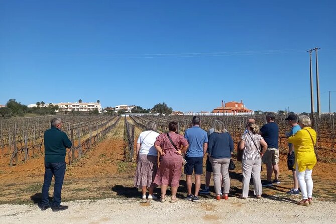 Wine Lovers: Winery Tour w/ Tasting & Tapas (Albufeira/Vilamoura) - Food and Drink: Quality and Quantity