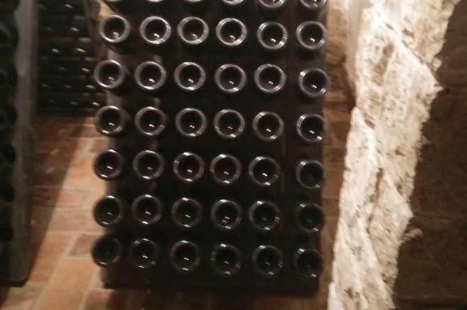 Wine & more Tour , private guided wine tour from POREC, UMAG ,Istria - Logistics and Group Size: Comfort and Personal Attention