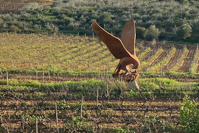 Wine Not Algarve Winery Tour - Flexibility and Personalization
