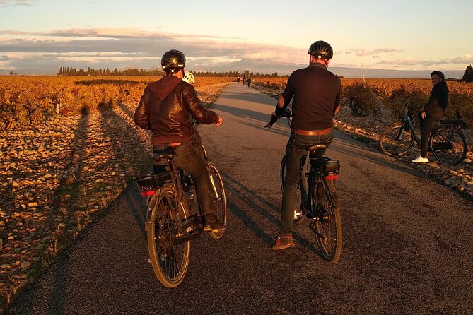 Wine of the Luberon by e-bike... Not to be missed ! - Key Points