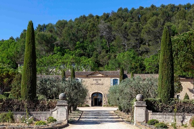Wine of the Luberon by e-bike... Not to be missed ! - Historic Sites and Cultural Highlights