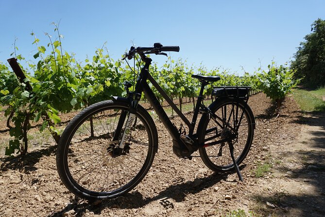 Wine of the Luberon by e-bike... Not to be missed ! - What’s Included and What to Expect