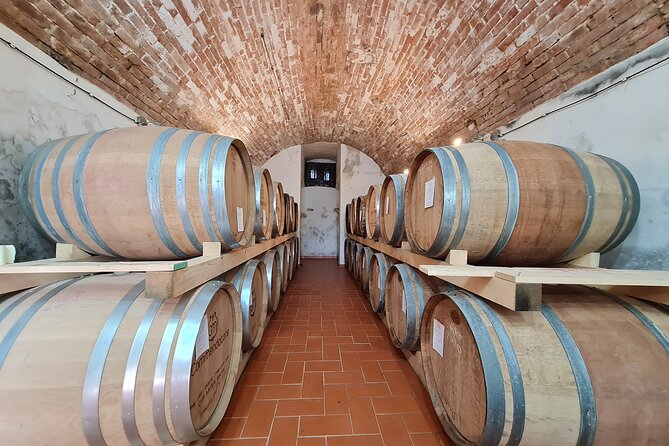 Wine & Oil Tasting Experience - Tasting Six Different Wines Including Vin Santo, Reds, and Whites