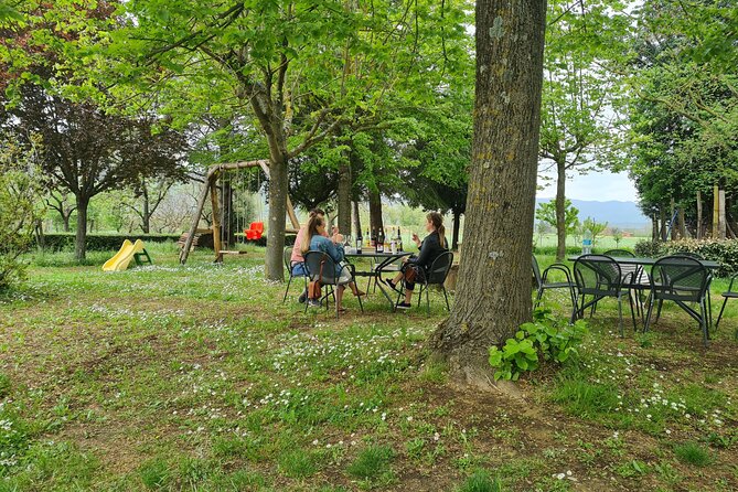 Wine & Oil Tasting Experience - Who Will Enjoy This Experience Most?