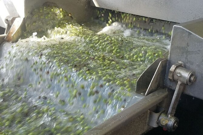 Wine, Olive Oil, and Honey Tour with Winemaker - Journey Through the Mountains of Crete with Stunning Landscapes