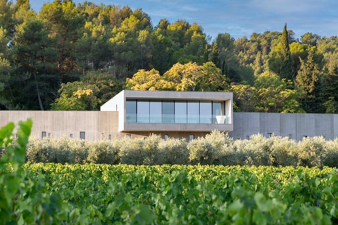 Wine, Olive Oil and Scenic Villages of Provence - Olive Oil Experience at Moulin Castelas