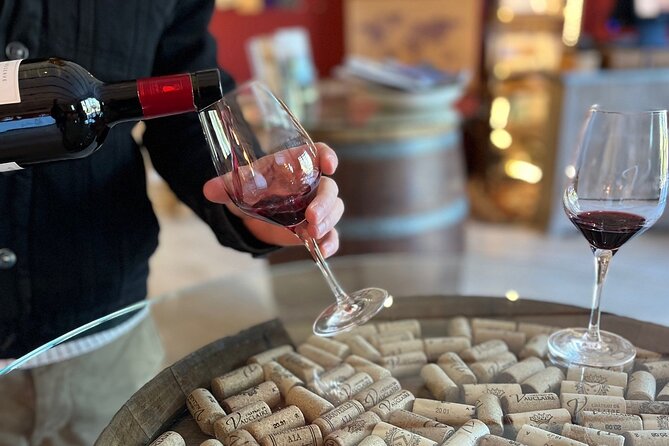 Wine, Olive Oil and Scenic Villages of Provence - Practical Details for the Day