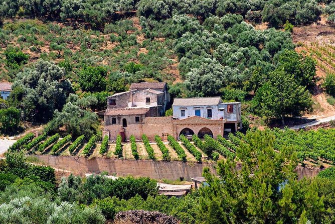 Wine & Olive Oil tasting one day private tour in Crete - Key Points