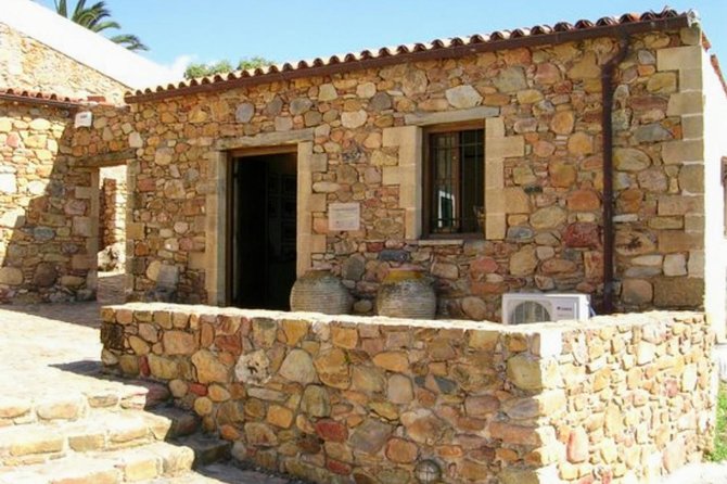 Wine & Olive Oil tasting one day private tour in Crete - Optional Lunch at the Winery