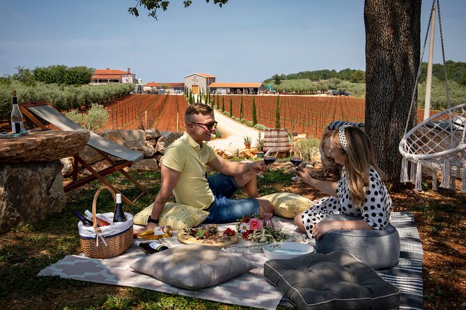 Wine picnic - An Idyllic Picnic Experience in Istrias Countryside