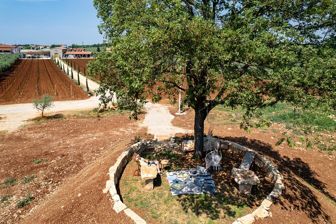 Wine picnic - Key Points