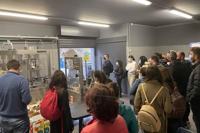 Wine Raki Olive Oil Tasting and Pottery - Private Tour - Heraklion’s Finest: Olive Oil Experience at Gouves