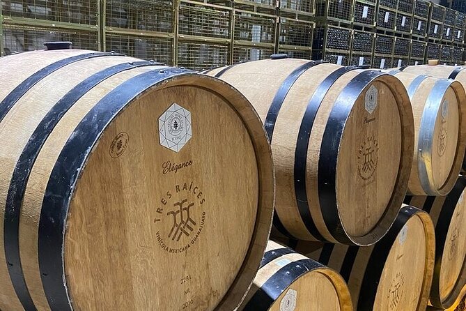 Wine Route !, Vineyards, wine tasting and pairing - Physical Requirements and Accessibility