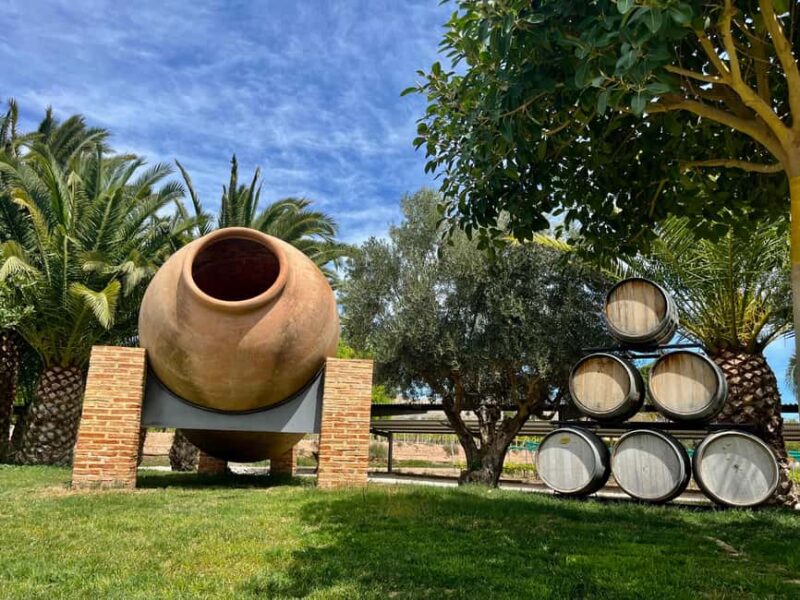 Wine Route with 3 Tastings & Castillo La Mola: Small Group - Exploring Alicante’s Vineyard and Castle Scene