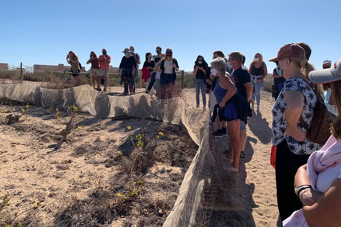 Wine route with tasting and pairing in the La Mata Natural Park - Discovering Historic Vineyards Within the Park