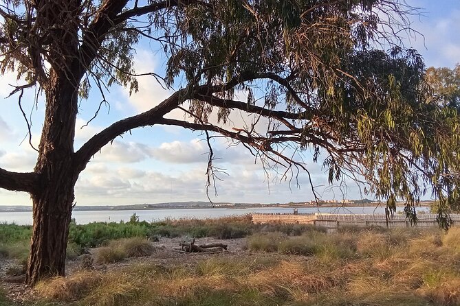 Wine route with tasting and pairing in the La Mata Natural Park - Tasting Session with a Skilled Sommelier