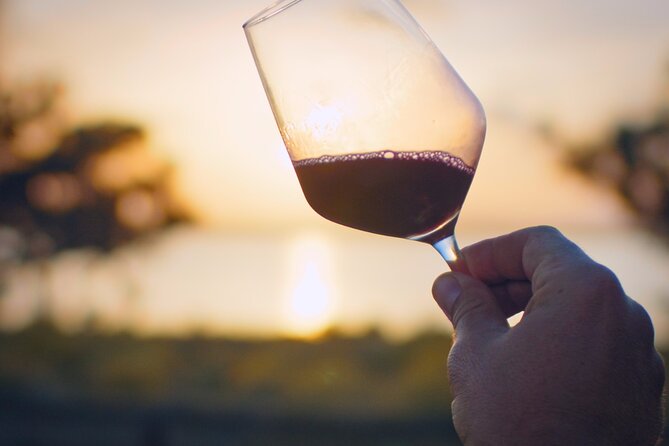 Wine route with tasting and pairing in the La Mata Natural Park - Food and Olive Oil Pairings