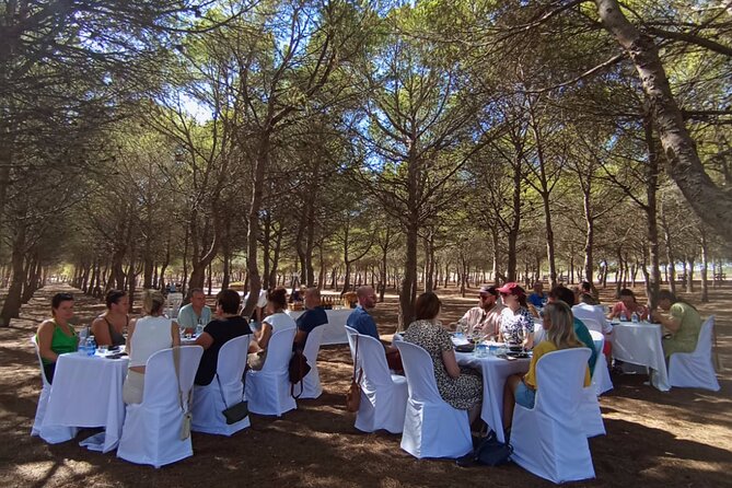Wine route with tasting and pairing in the La Mata Natural Park - Logistics and Practical Details