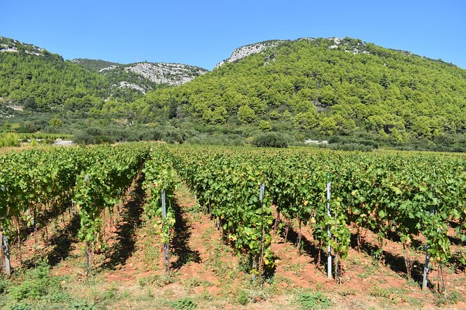 Wine & Sightseeing Tour Korcula - Key Points