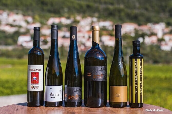 Wine & Sightseeing Tour Korcula - Practical Details: Meeting Point and Timing