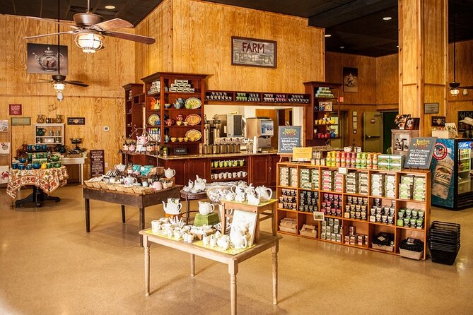 Wine Sippin'-Tea Drinkin'-Tree Huggin' Lowcountry Sightseeing - Practical Tips for Booking and Participation