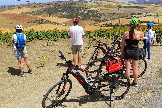 Wine, Tapas & Lake Zahara by e-bike incl Ronda pickup (full day) - Sampling Spanish Food and Wine Along the Way