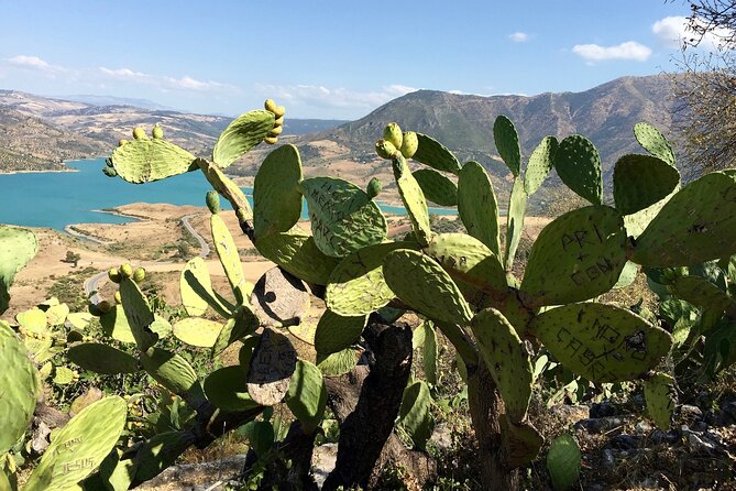 Wine, Tapas & Lake Zahara by e-bike incl Ronda pickup (full day) - The Village of Ronda as a Starting and Ending Point
