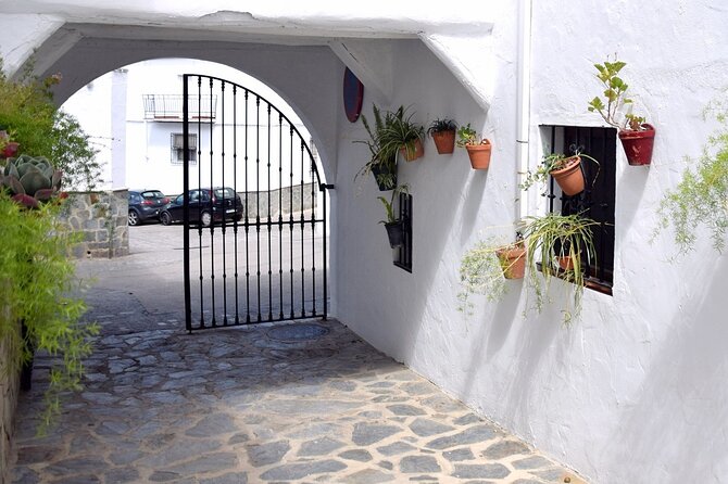 Wine & Tapas tour by electric bike (e-bike) including Ronda pickup (half day) - Key Points