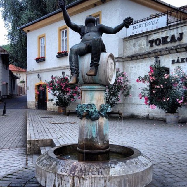 Wine taste in Tokaj Private Day Tour from Budapest - The Unique Hercegkut Wine Cellars and Their Hobbit-Like Charm